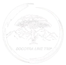 Socotra LINE TRIP